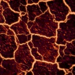 magma (niko x lcs)