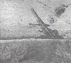 Viking Burial for a French Car