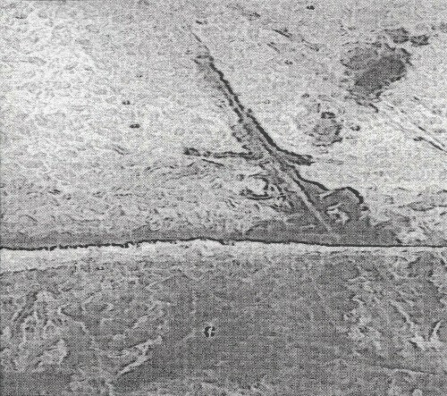 Viking Burial for a French Car