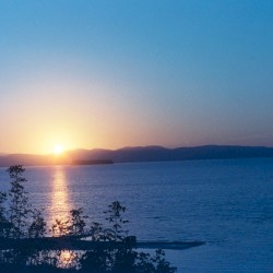 Being Peace