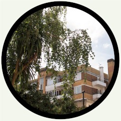 Hither Green Glide / For the People