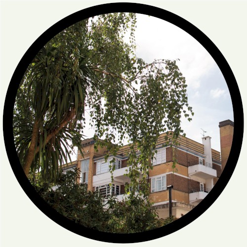 Hither Green Glide / For the People