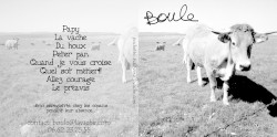 Boule