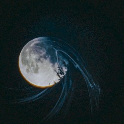 Moonlit