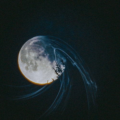 Moonlit