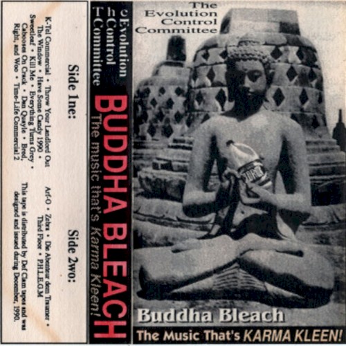 Buddha Bleach: The Music That's Karma Kleen!