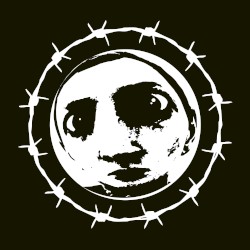 Acid Aries