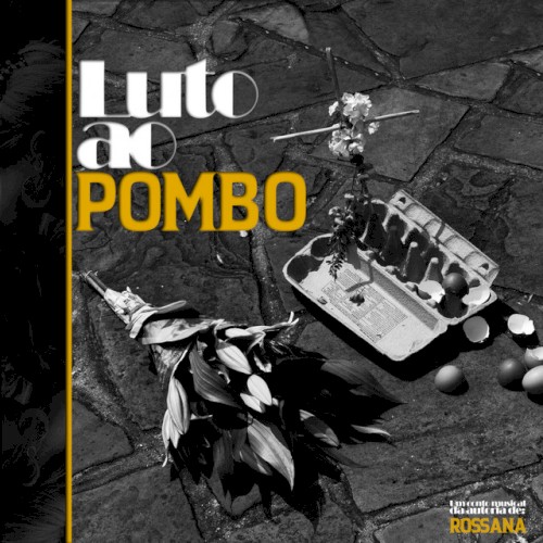 Luto ao Pombo