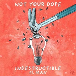 Indestructible
