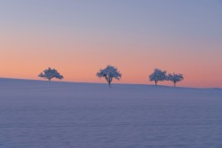 Winter Sunrise