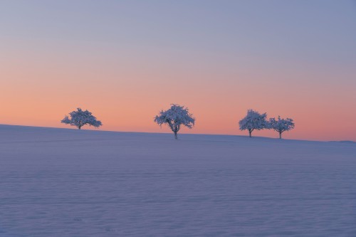 Winter Sunrise