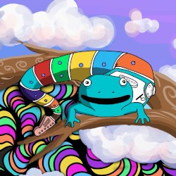 Salamander