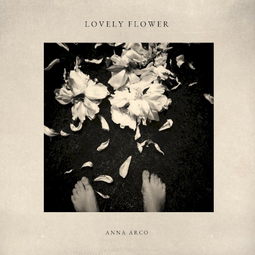Lovely Flower
