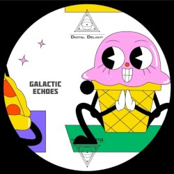 Galactic Echoes