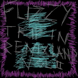 Fuzzy Trip in Remixland Vol.2