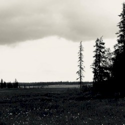 Negation