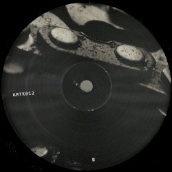 Amotik 012