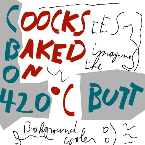 Coocksies Baked On 420 degrees celciButt