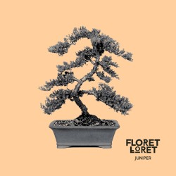 Juniper