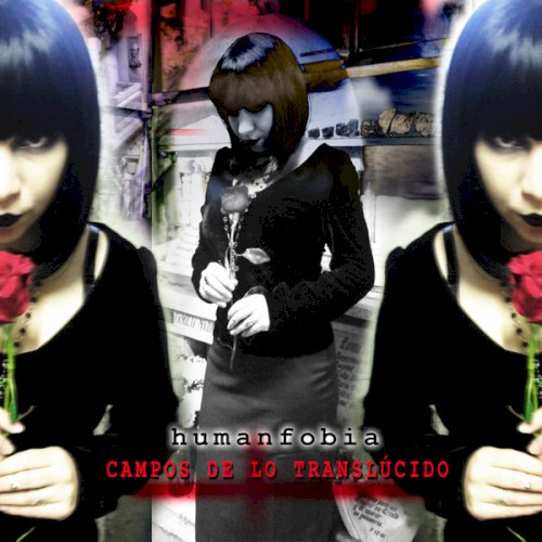 Campos de lo Translúcido