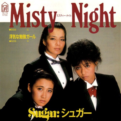Misty Night