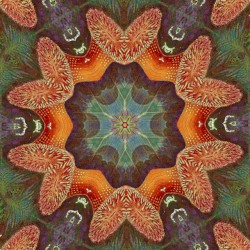 Ailivimphos