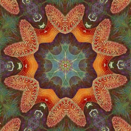 Ailivimphos