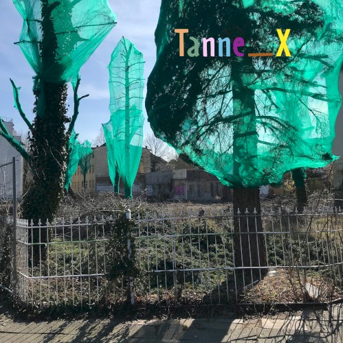 Tanne_X