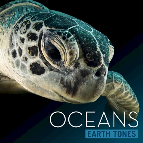 Oceans