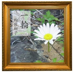 一輪