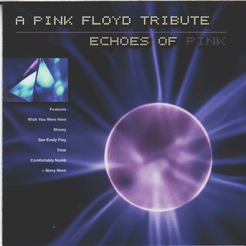 A Pink Floyd Tribute: Echoes of Pink