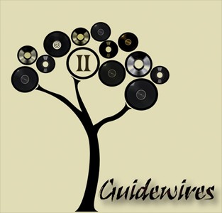 Guidewires II