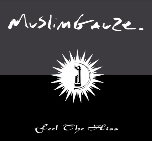Zilver / Feel the Hiss