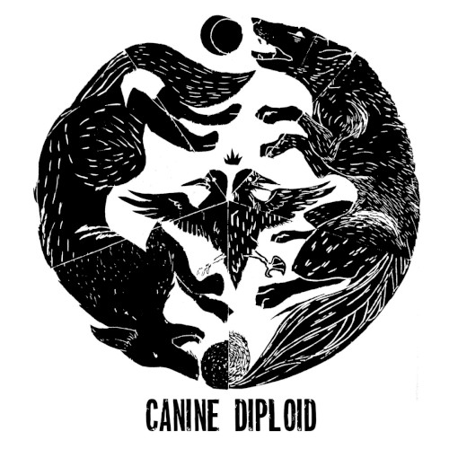 Canine / Diploid