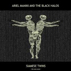 Siamese Twins