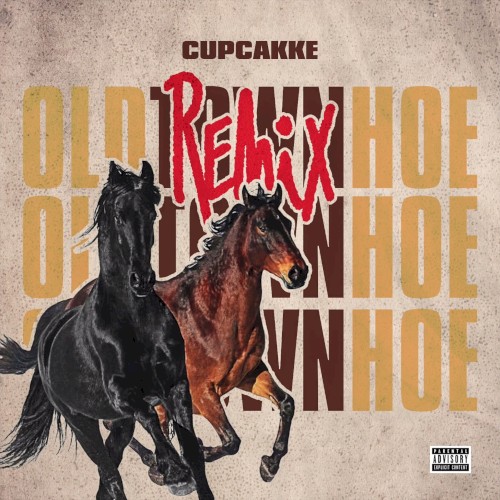 Old Town Hoe (Old Town Road remix)