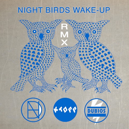 Night Birds Wake Up Rmx