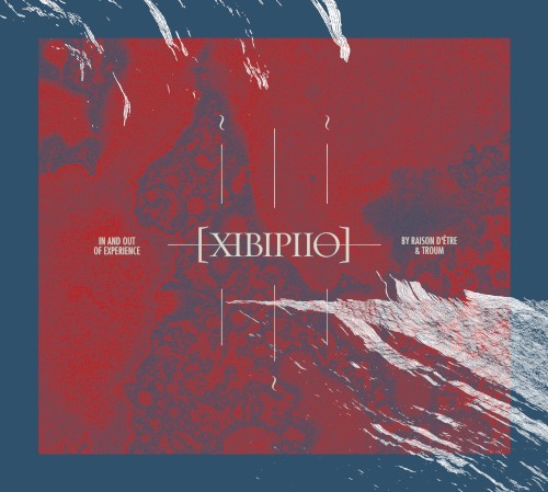 XIBIPIIO. In and Out of Experience