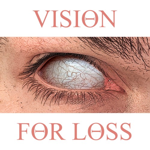 Vision For Loss