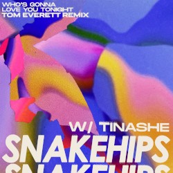 Who’s Gonna Love You Tonight (Tom Everett remix)