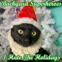 I Hate the Holidays