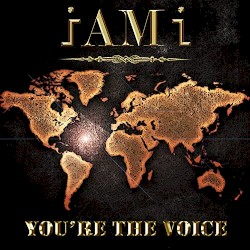 You're the Voice
