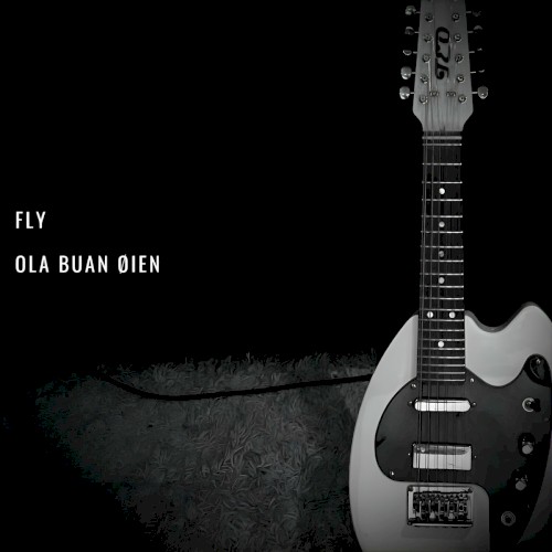 Fly