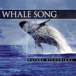 Whale Song