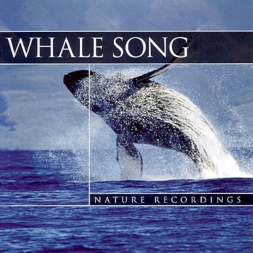 Whale Song
