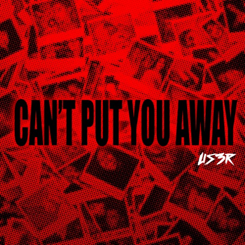 Can't Put You Away