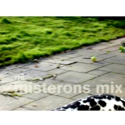 The Misterons Mix