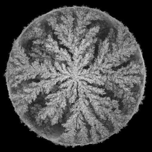 Emergence Remixed