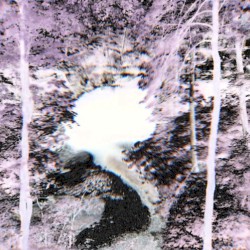 024: ARXI Cave