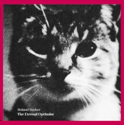 The Eternal Optimist
